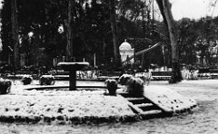 SIDI BEL ABBES 1954 SOUS LA NEIGE  (4)